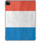 Netherlands Flag Distressed iPad Pro 11in (2024) Clear Case