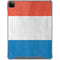 Netherlands Flag Distressed iPad Cases