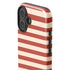 Neutral Stripes iPhone 16 Plus Impact Case