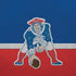 NFL New England Patriots Vintage iPhone XR Pro Case