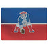 NFL New England Patriots Vintage Surface Laptop 3 13.5in Skin