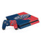 NBA New Orleans Pelicans Canvas PlayStation PS4 Skins