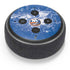 NHL New York Islanders Frozen Amazon Echo Dot Skin