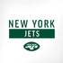 NFL New York Jets White Performance Series iPhone X Pro Case
