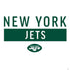 NFL New York Jets White Performance Series PS4 Console and Controller Bundle Skin