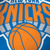 NBA New York Knicks Large Logo Dell Latitude Skin