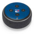 NHL New York Rangers Distressed Amazon Echo Dot Skin