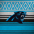 NFL Carolina Panthers Trailblazer iPhone X Pro Case
