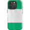 Nigeria Flag Distressed iPhone 16 Pro Impact Case