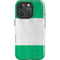 Nigeria Flag Distressed iPhone 16 Pro Max Impact Case