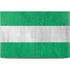 Nigeria Flag Distressed Dell XPS Skin
