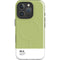 Nile Color Palette iPhone 16 Pro Magsafe Impact Case