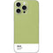 Nile Color Palette iPhone 16 Pro Max Skin
