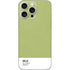 Nile Color Palette iPhone 16 Pro Max Skin
