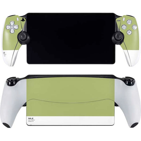 Nile Color Palette PlayStation Portal Remote Player Skin