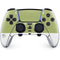 Nile Color Palette PS5 DualSense Edge Pro Controller Skin