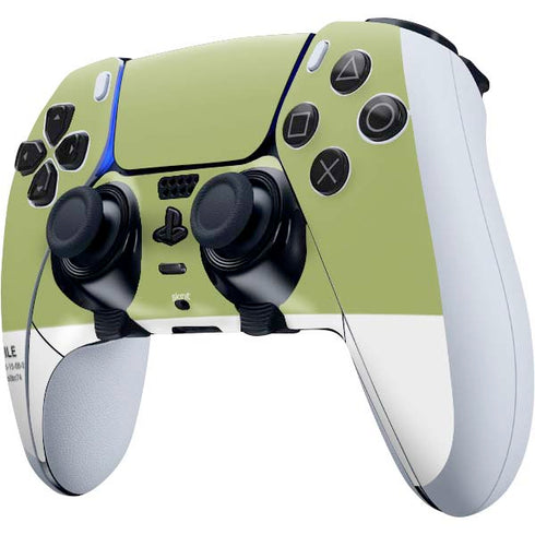 Nile Color Palette PS5 DualSense Edge Pro Controller Skin