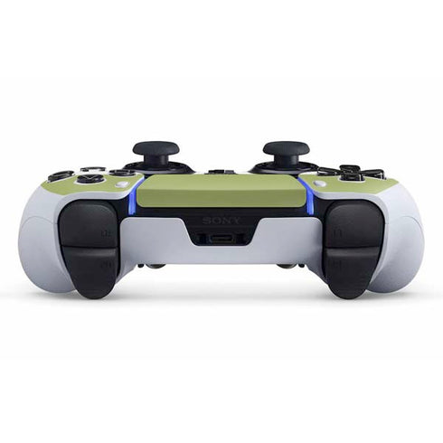 Nile Color Palette PS5 DualSense Edge Pro Controller Skin