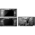 Alchemy Nine Lives of Poe Nintendo Skins