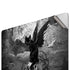 Alchemy Nine Lives of Poe Apple MacBook Pro 16-inch Skin