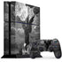 Alchemy Nine Lives of Poe PlayStation PS4 Skins