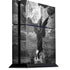 Alchemy Nine Lives of Poe PlayStation PS4 Skins