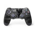 Alchemy Nine Lives of Poe PlayStation PS4 Skins