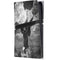 Alchemy Nine Lives of Poe PS5 Pro Console Skin