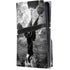 Alchemy Nine Lives of Poe PS5 Pro Disk Console Skin