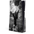 Alchemy Nine Lives of Poe PlayStation PS5 Skins
