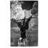 Alchemy Nine Lives of Poe PS5 Slim Digital Edition Console Skin