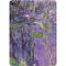 Nympheas, 1916-19 by Monet Apple iPad Air Skin