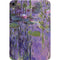 Nympheas, 1916-19 by Monet Apple iPad Mini Skin