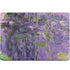 Nympheas, 1916-19 by Monet MacBook Skins