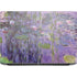 Nympheas, 1916-19 by Monet HP ZBook Fury 16 G10 Skin