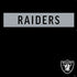 NFL Las Vegas Raiders Black Performance Series PS4 Console and Controller Bundle Skin