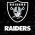 NFL Las Vegas Raiders Distressed iPhone XS Skin