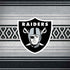 NFL Las Vegas Raiders Trailblazer Dell Latitude Skin
