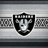NFL Las Vegas Raiders Trailblazer MacBook Skins