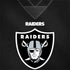 NFL Las Vegas Raiders Team Jersey Dell Latitude Skin