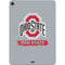 Ohio State University Distressed Logo Apple iPad Air Skin