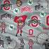 Ohio State University Pattern Dell Alienware Skin