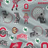 Ohio State University Pattern iPhone XS Pro Case