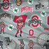 Ohio State University Pattern MacBook Skins
