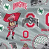 Ohio State University Pattern PS4 Console and Controller Bundle Skin