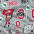 Ohio State University Pattern PS4 Console Skin