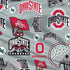 Ohio State University Pattern PS4 Pro Console Skin