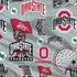 Ohio State University Pattern PS4 Slim Skin