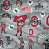 Ohio State University Pattern Surface Book 2 13.5in Skin