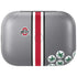 Ohio State University Buckeyes Amazon Echo Buds Skin